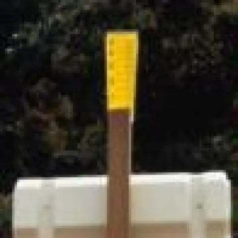 rain gauge