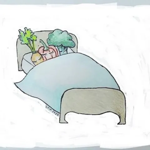 family bed 450