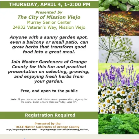 Elevate Your Cooking: Join Us for Fresh Herb Gardening Tips