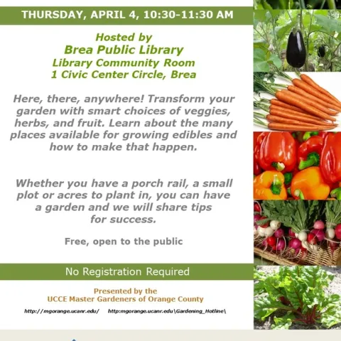 Grow Anywhere, Eat Everywhere: Join Our Edible Gardening Event