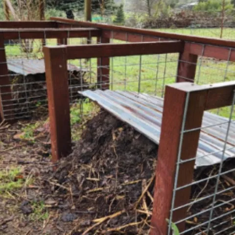 Compost bin