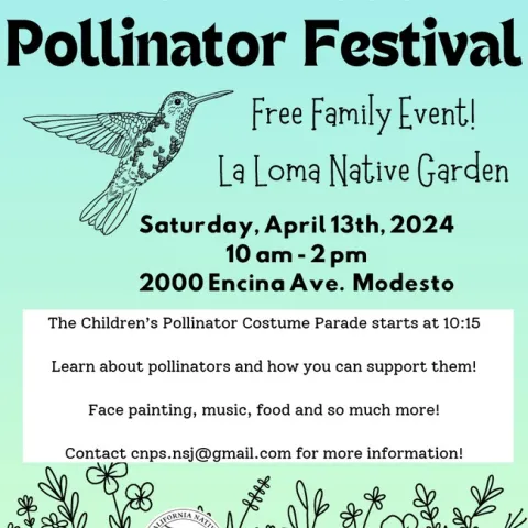 Poster with clipart of a hummingbird with date and time for festival.