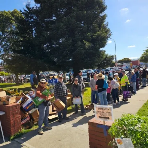 The nearly 500 West County GTPS customers line up around the block and wait for the sale to start.