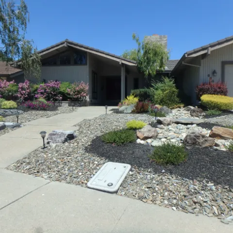 Water-wise yard