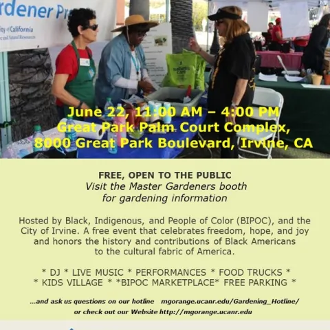 Join Us for the Annual Juneteenth Celebration – Free & Open to All