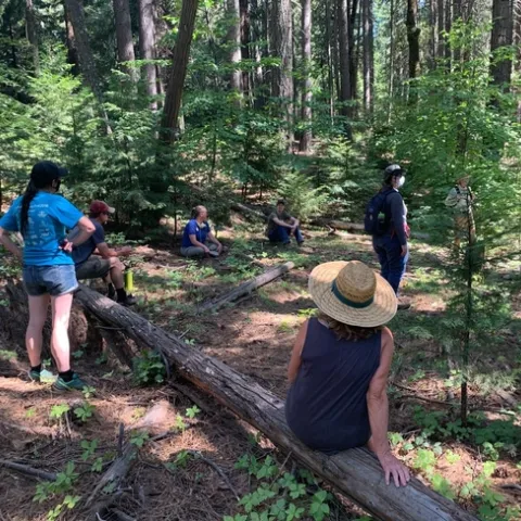 Individuos que participaron en el taller sentados en el bosque en el Condado de El Dorado