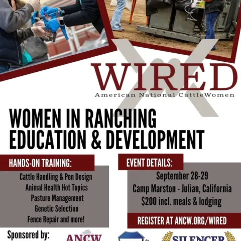 WIRED