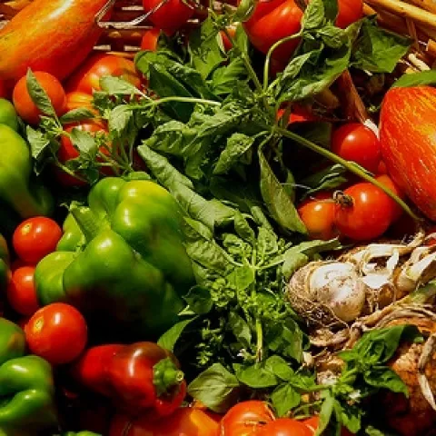 Organic Garden Harvest by toddheft is licensed under CC BY-NC 2.0.