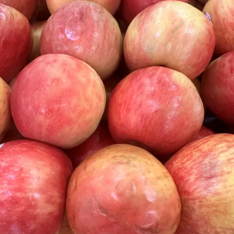Apples