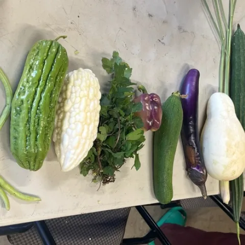 vegetables cropped