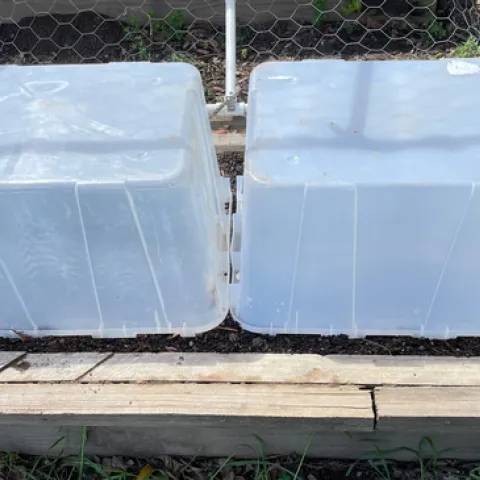 Mini Greenhouses