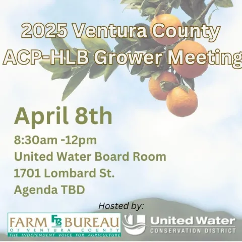 acp meeting 2025