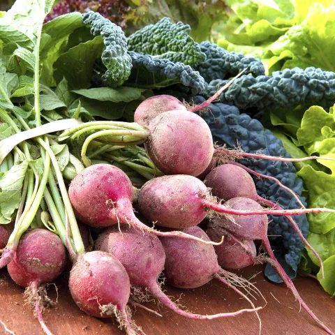 Vegetables