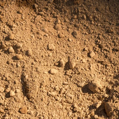 Picture of soil