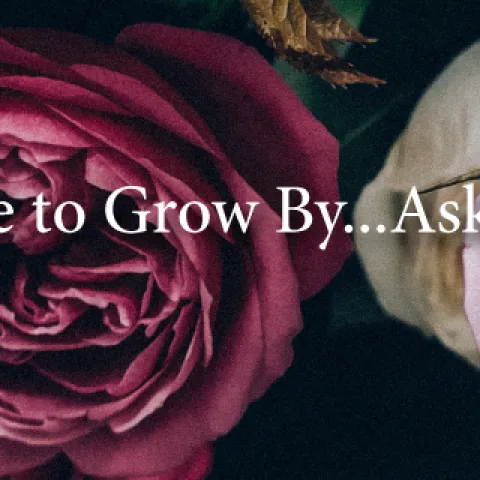 Banner Ask Us
