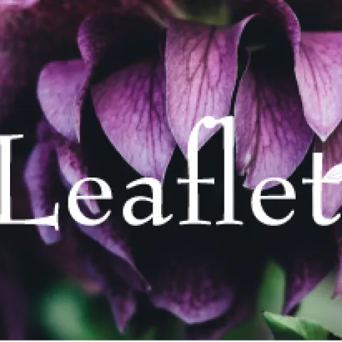 Banner Leaflet