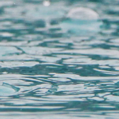 Banner rain