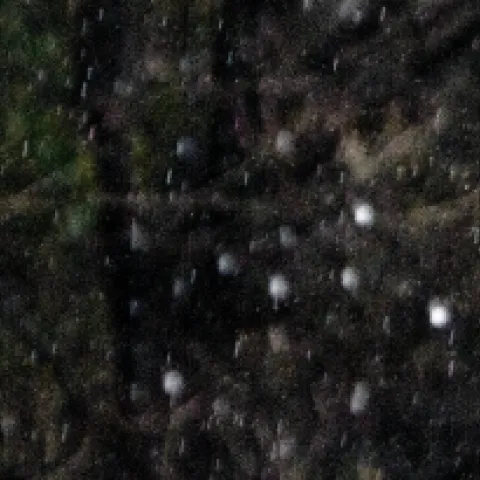 banner rainwater