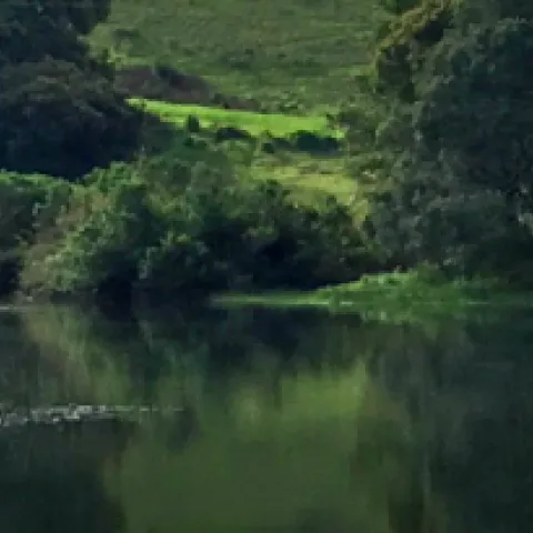 Banner watershed