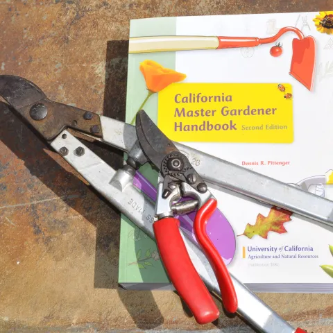 pruning tools