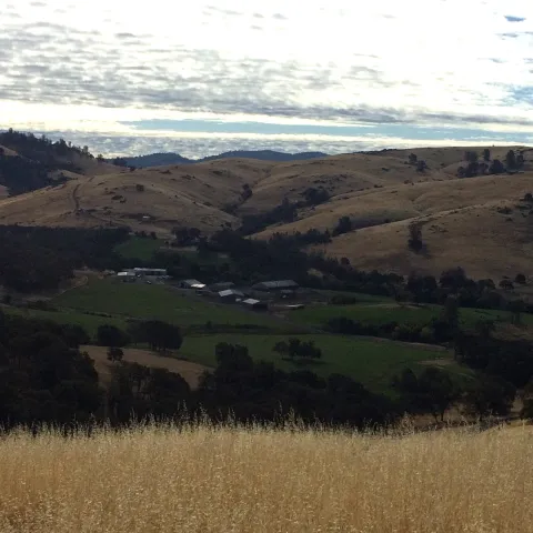 Picture of headquarters surrounded by irrigated pasture with rangeland in the back and fore ground