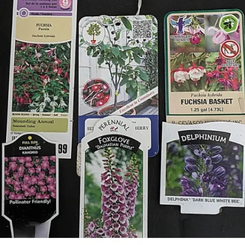 A selection of plant labels