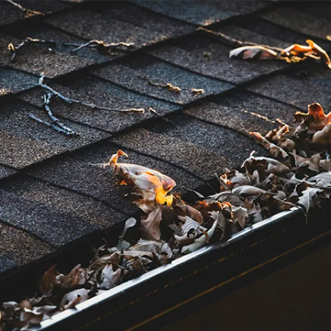 Gutter with leaves