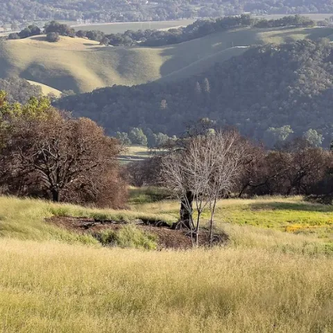 Jacobs Ranch