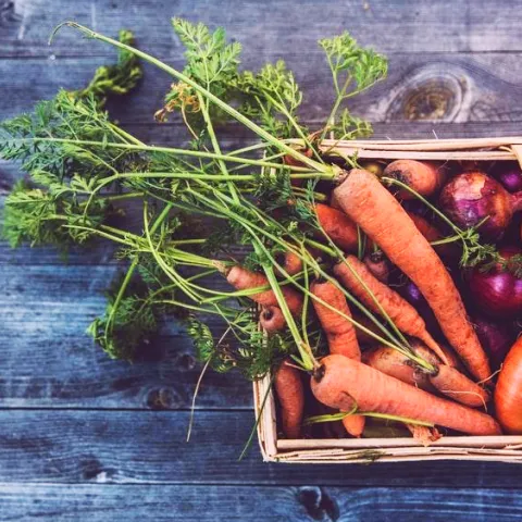 carrots