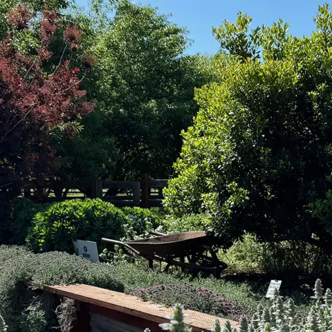 Berm garden at Butte County Master Gardener's Demonstration Garden