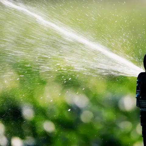 irrigation spray