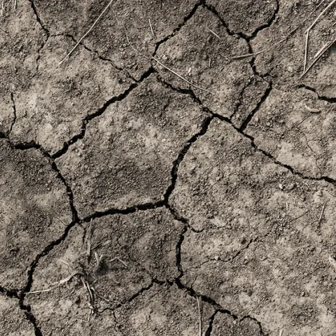 Drought cracks