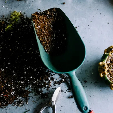 planting tools