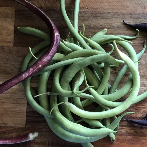 pole beans