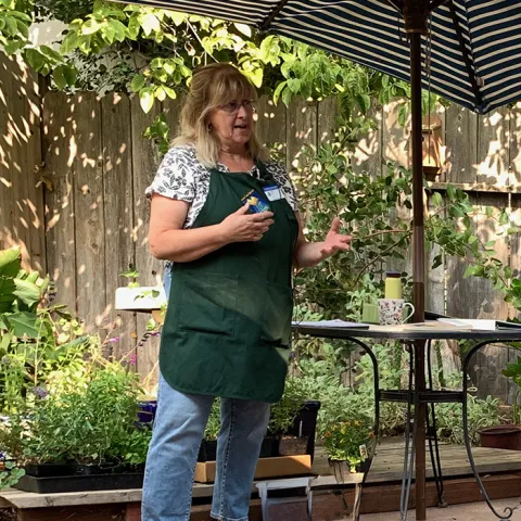 Companian planting workshop in the backyard of a master gardener.