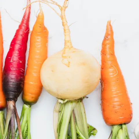 root vegetables