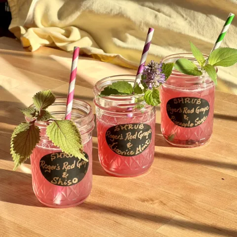 Grow Your Own Drink Ingredients