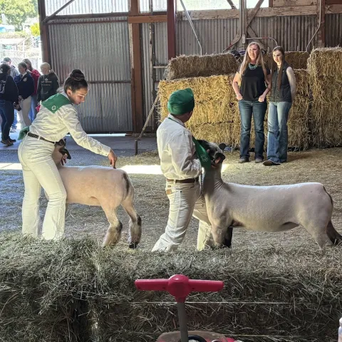 4H Western Weekend