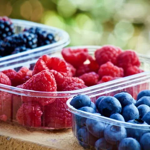 Berries