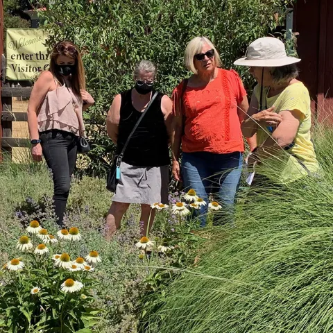 A group of people learning about the master gardener demonstration garden