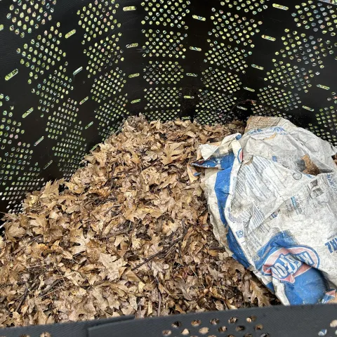 compost