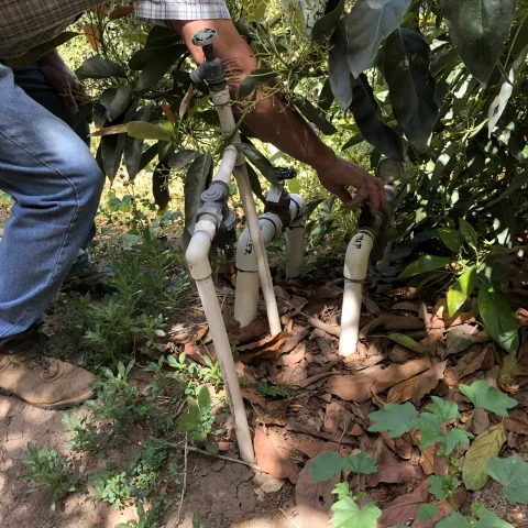 valves
