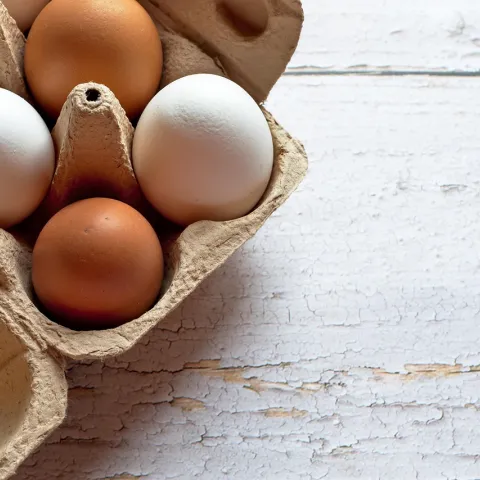 brown and white eggs in a carton