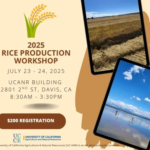 2025 Rice Production Workshop