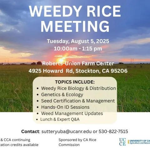 Weedy Rice Meeting