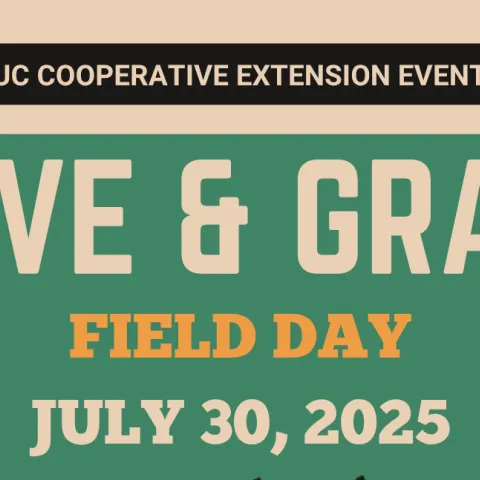 Olive & Field Day 