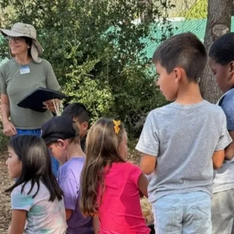 children's summer hands on garden workshop