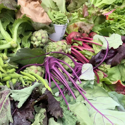 Cool season veggies
