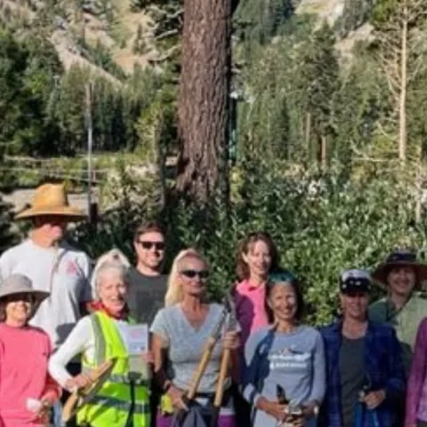 volunteers