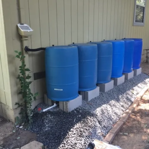 A row of large plastic barrels holding graywater for an irrigation system.